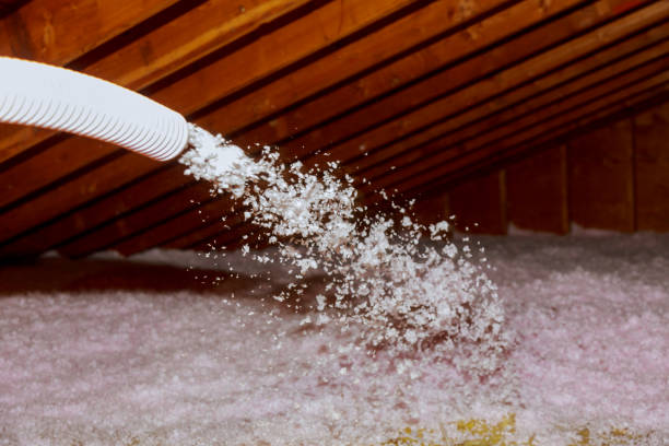 Best Insulation for Specific Applications in Clanton, AL