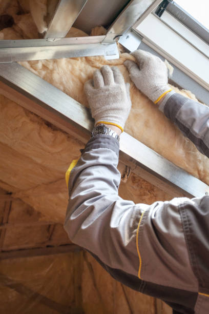 Best Insulation Maintenance and Repair in Clanton, AL