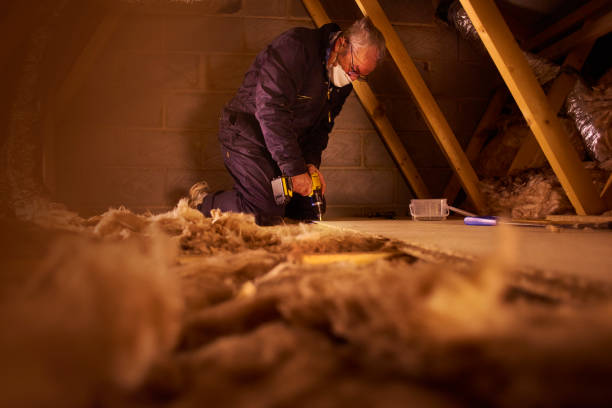 Best Geographic-Specific Insulation Services in Clanton, AL